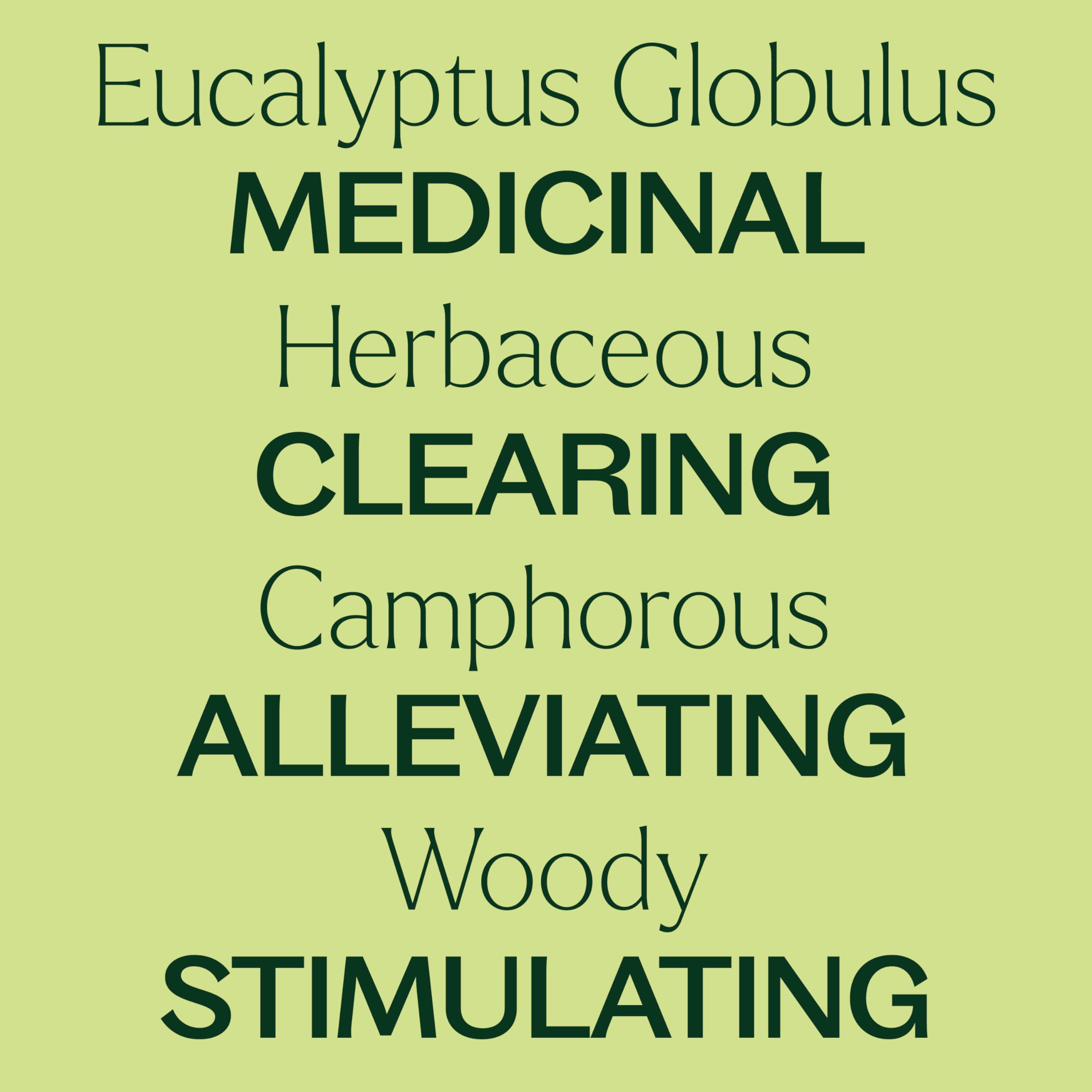Diffuser emitting mist with eucalyptus oil scene
