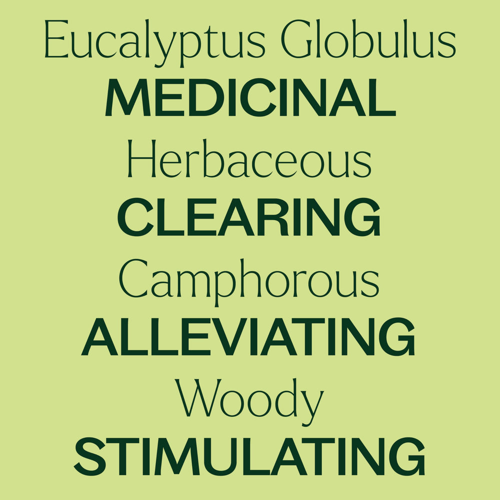 Diffuser emitting mist with eucalyptus oil scene