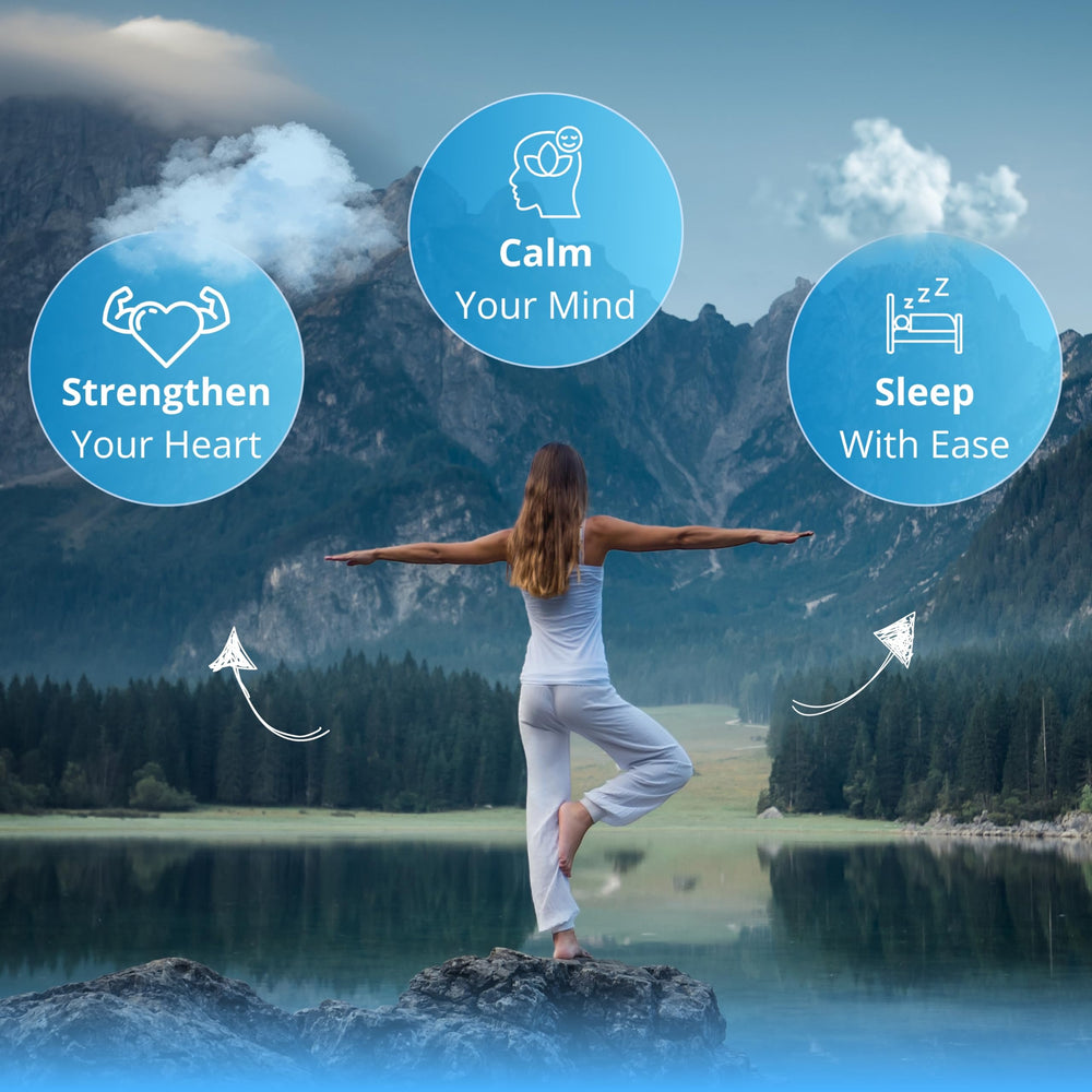 Digestive-friendly magnesium taurate capsules