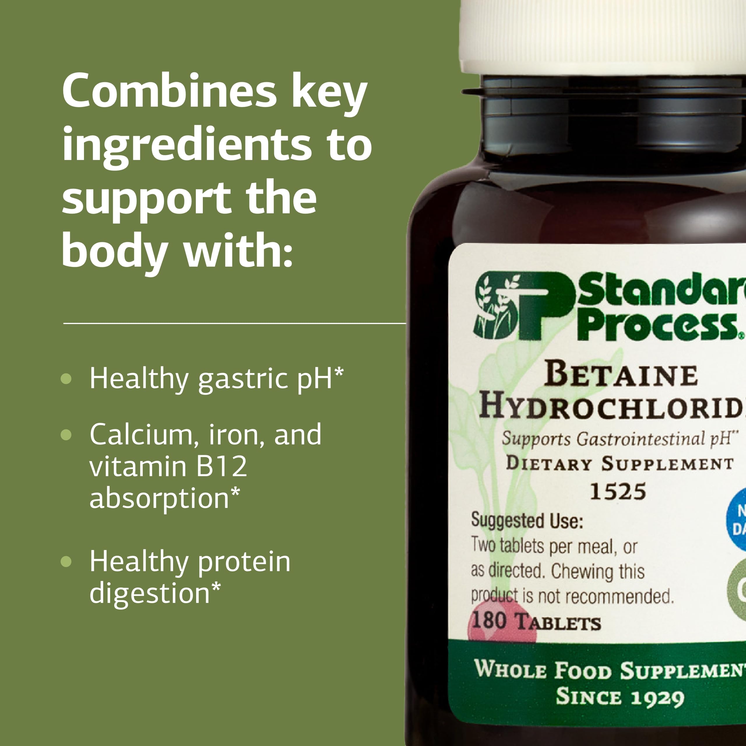 Illustration of digestion and protein digestion support