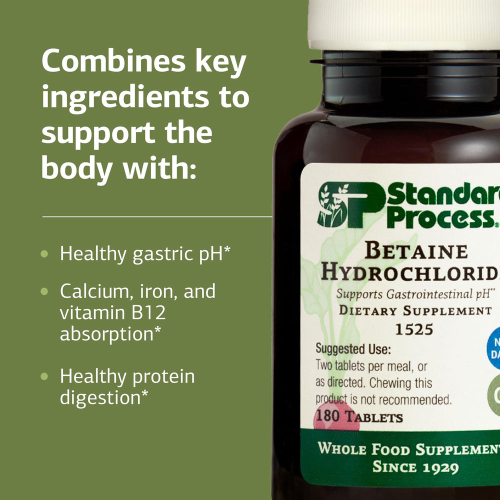 Illustration of digestion and protein digestion support