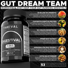 Enzyme blend including pancreatin, alpha-galactosidase, and lactase