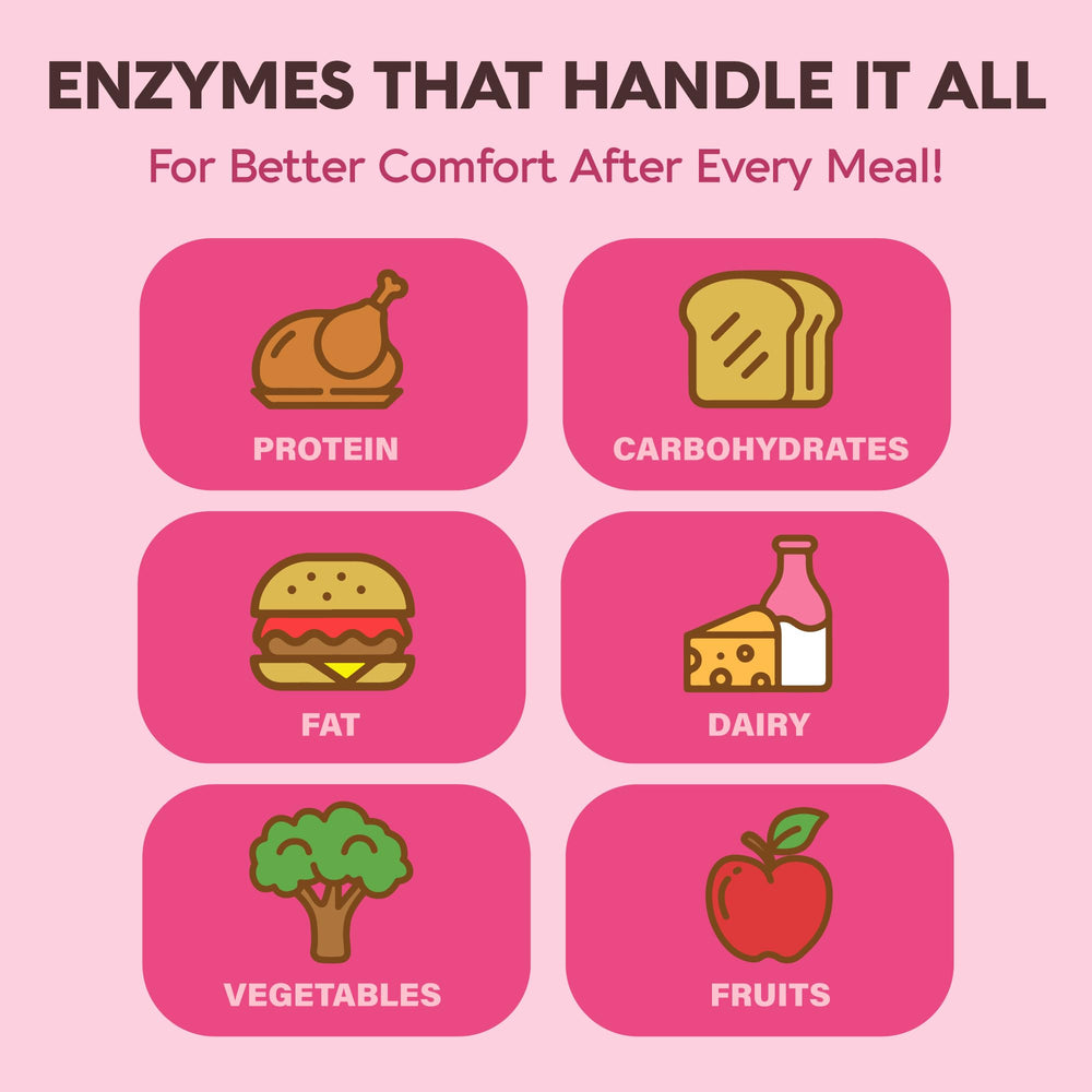 Enzymes breaking down carbs, proteins, and fats