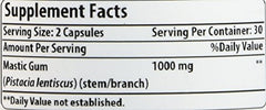 Digestive health benefits graphic for Mastic Gum
