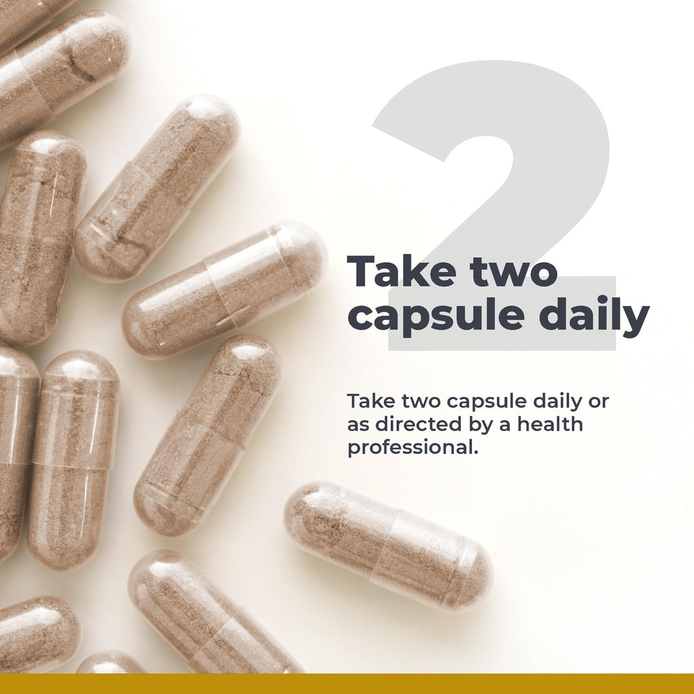 Digestive health and gut microbiome support with GastroVen