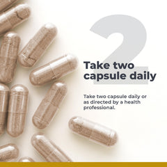Digestive health and gut microbiome support with GastroVen