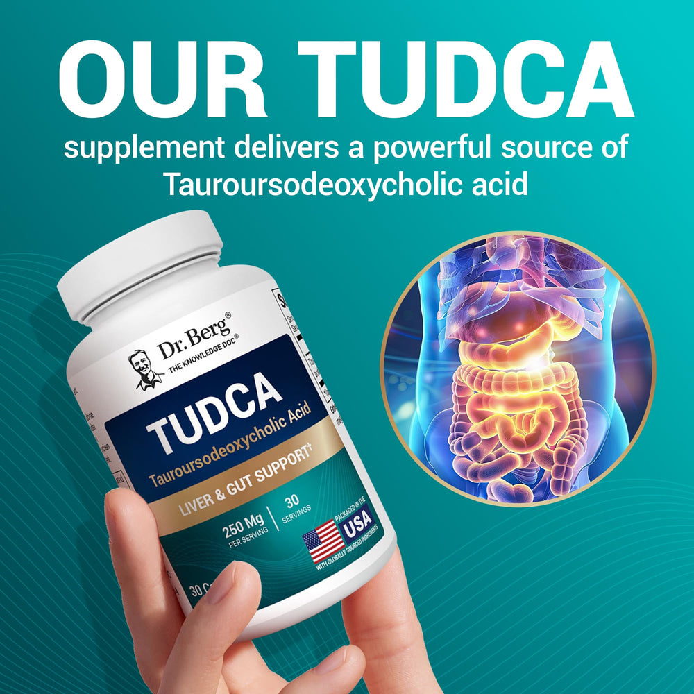 Illustration of digestive health and metabolism with TUDCA