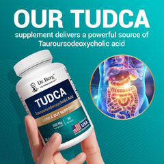 Illustration of digestive health and metabolism with TUDCA