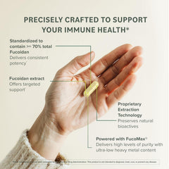 Graphic showing digestive and immune support benefits