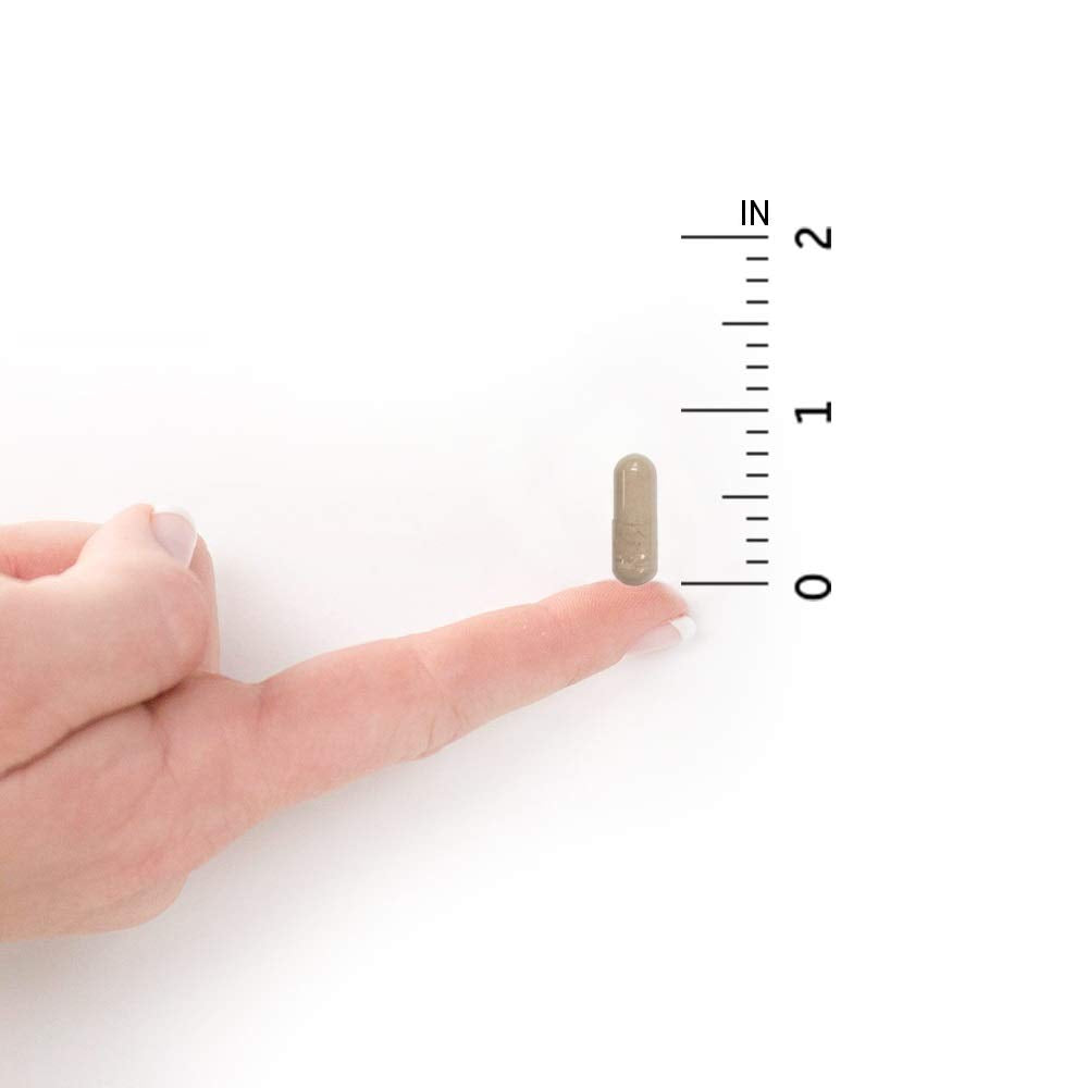 Digestive enzymes and capsule close-up