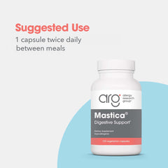 Graphic illustrating digestive health support