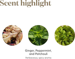DiGize essential oil in a diffuser scene