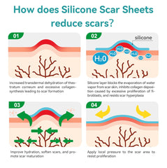 Dimora scar sheet adheres well for long wear during activity