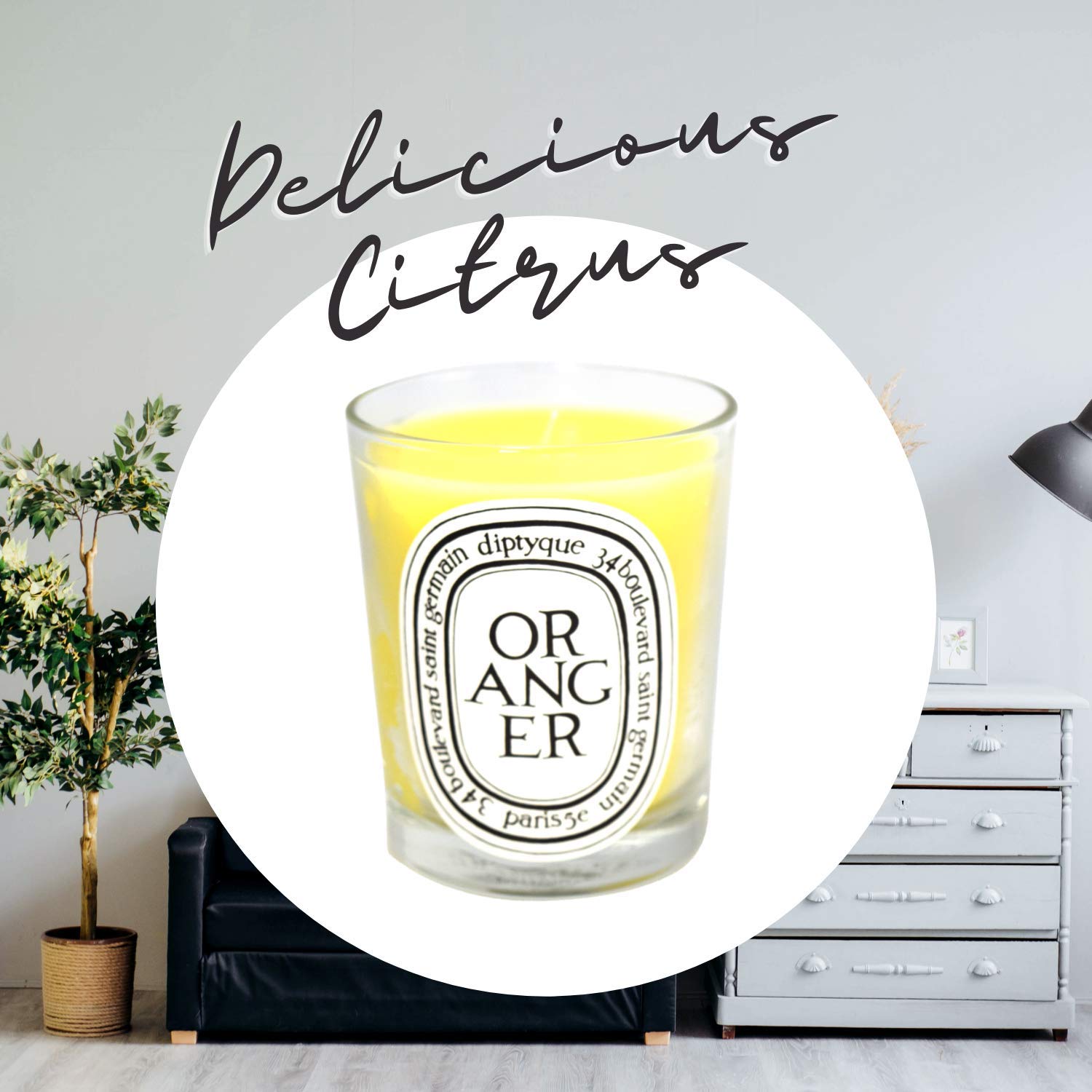 Diptyque Oranger candle ambience room showcases warm, spicy, woody scent in home spaces.