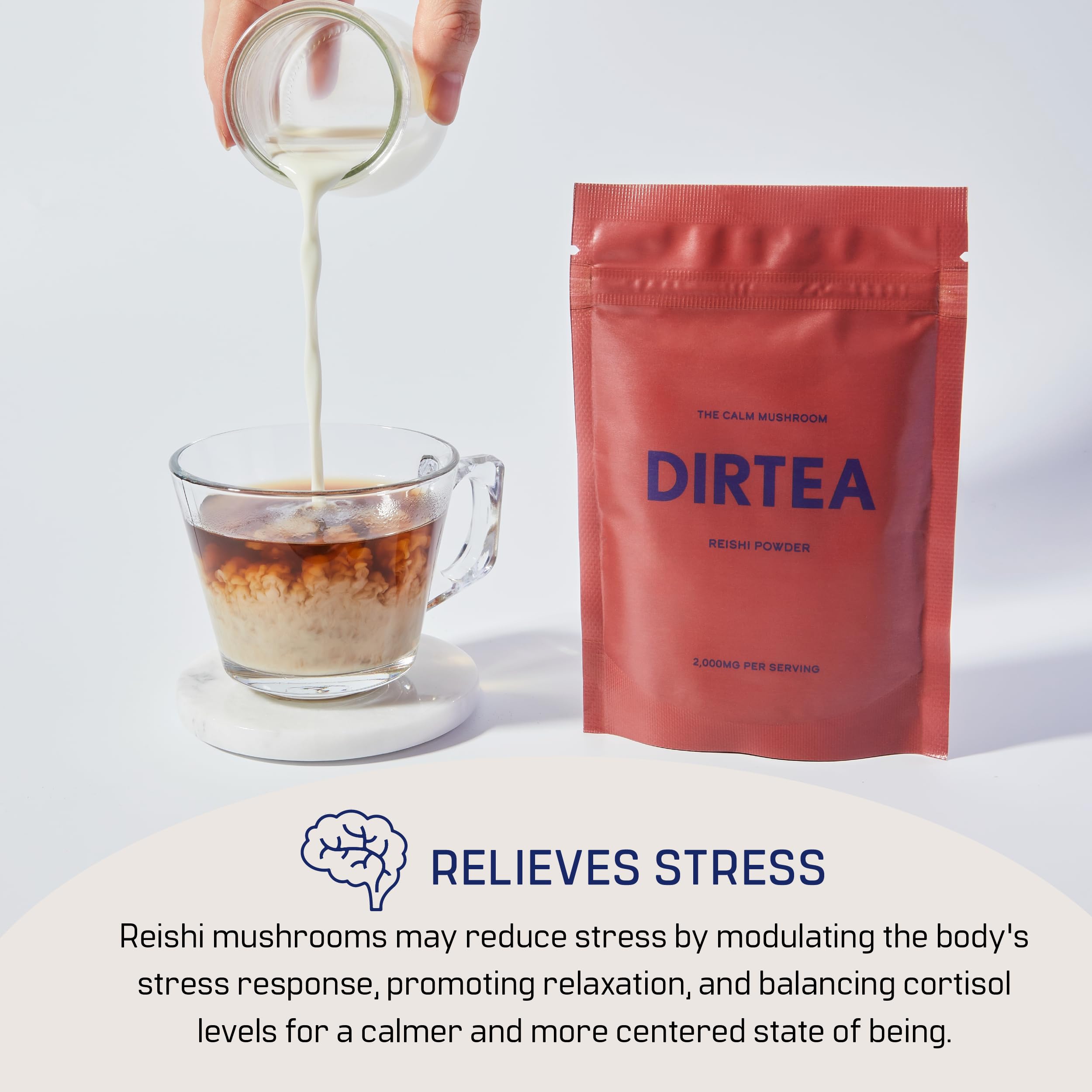 Serving scoop of DIRTEA Reishi Mushroom Powder