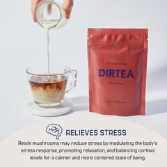 Serving scoop of DIRTEA Reishi Mushroom Powder
