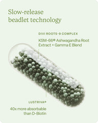 KSM-66 Ashwagandha Root Extract, Arginine Silicate & Magnesium Biotinate and Gamma E Blend ingredients