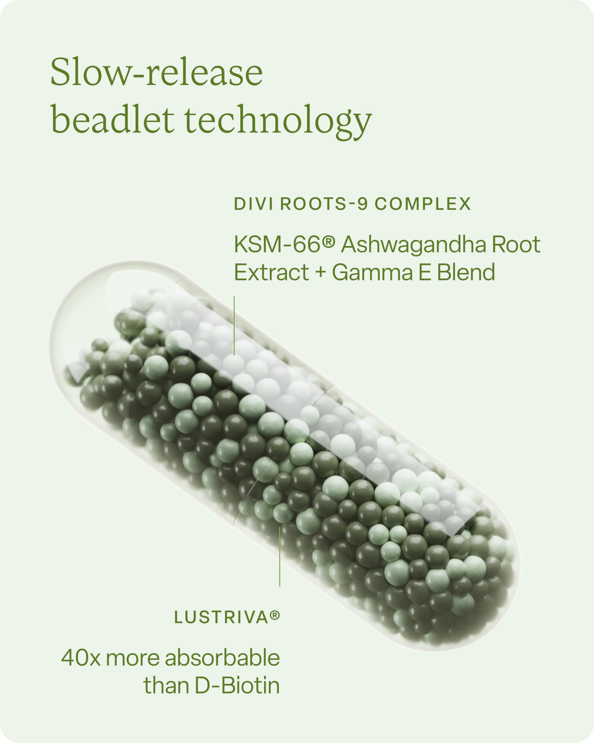 Divi Hair Vitamins bottle label highlights KSM-66 and other science-backed ingredients.