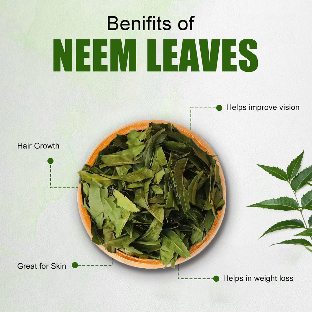 Close-up of whole dried neem leaves from Sri Lanka
