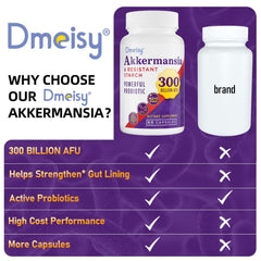 Dmeisy Akkermansia two-capsules dose readiness