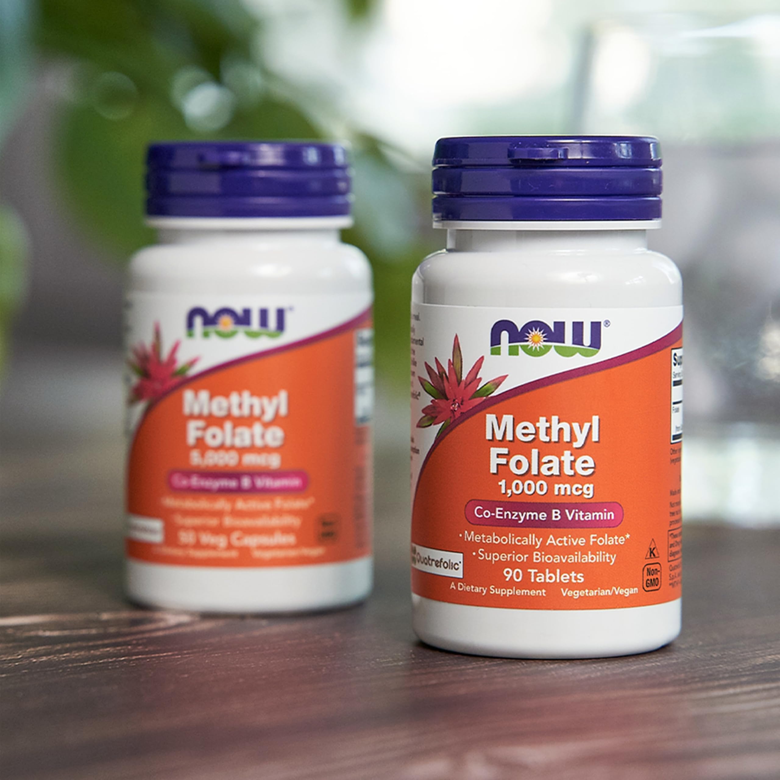 DNA synthesis support provided by methylfolate