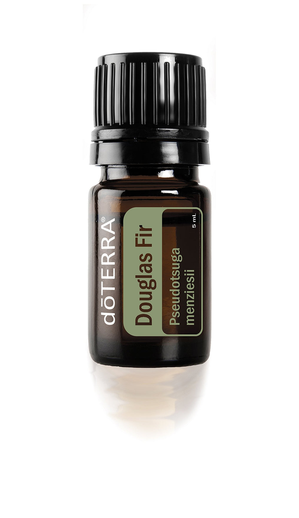 doTERRA Douglas Fir Essential Oil 5 ml bottle