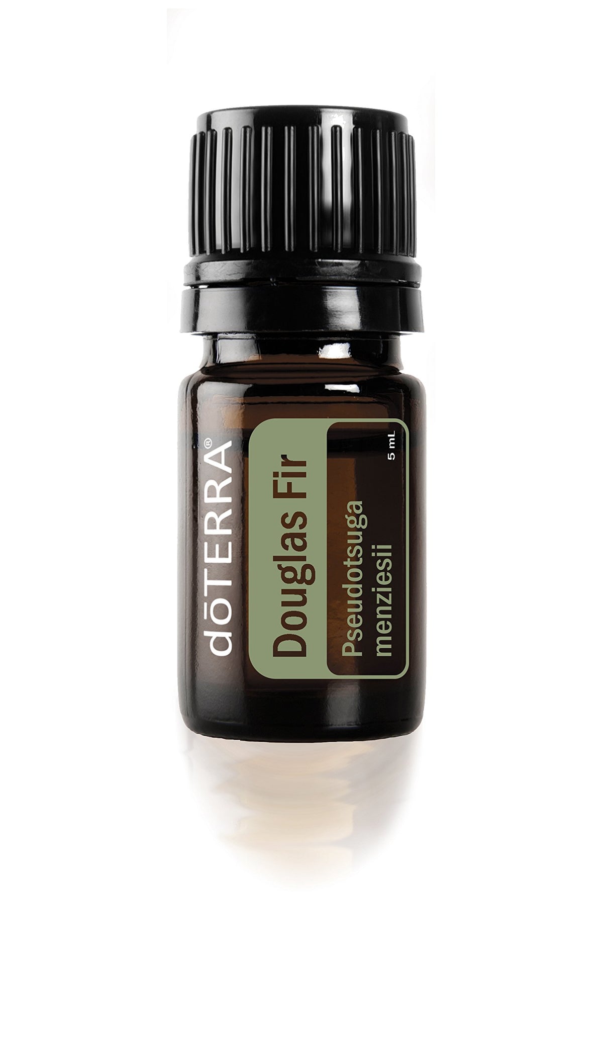 doTERRA Douglas Fir Essential Oil 5 ml bottle