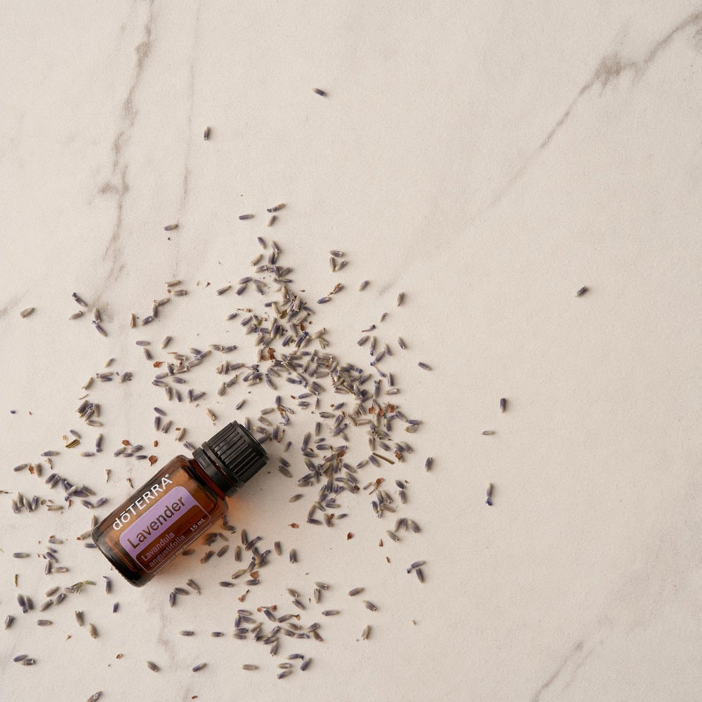 doTERRA Lavender 15 ml bottle with packaging