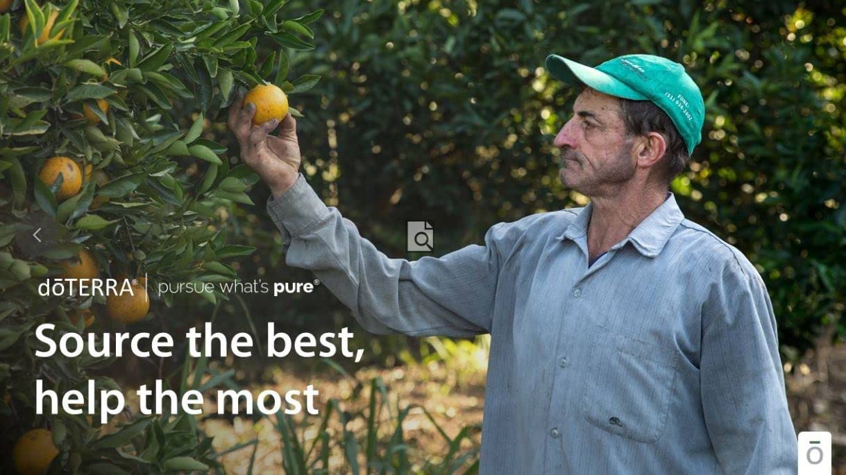 doTERRA Wild Orange 15 mL bottle beside orange peels