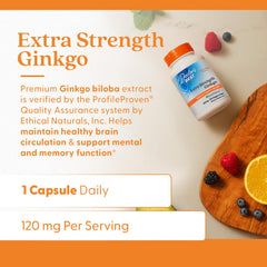 Supplement facts panel for 120 mg Ginkgo extract