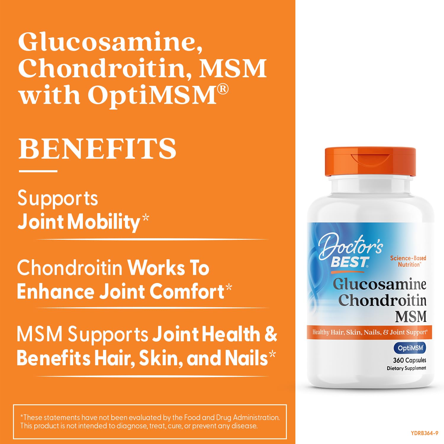 Joint health and mobility illustration showing support for joints
