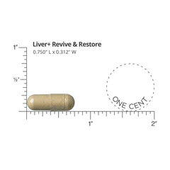 DOCTORS' PREFERRED Liver+ Revive & Restore capsules back with supplement facts.