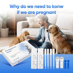 Pet owner performing at-home pregnancy test