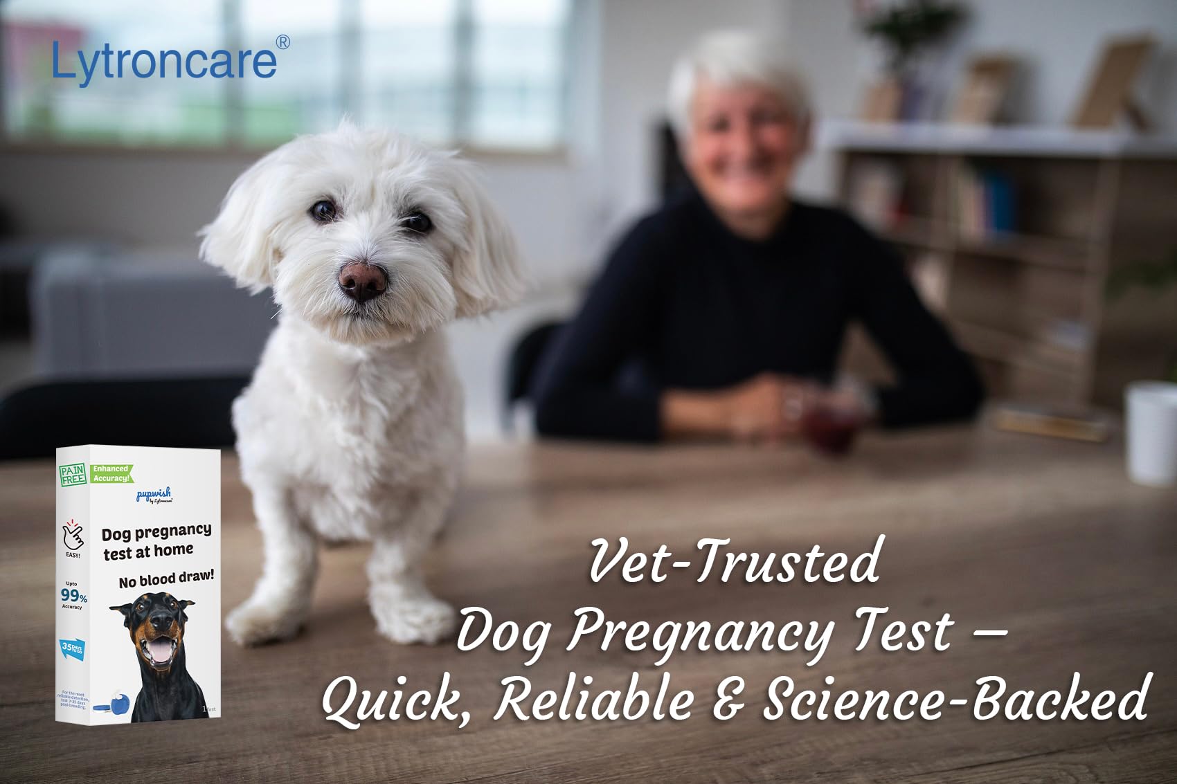 Urine sample collection setup for at-home dog pregnancy testing