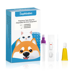 At-home dog pregnancy testing setup