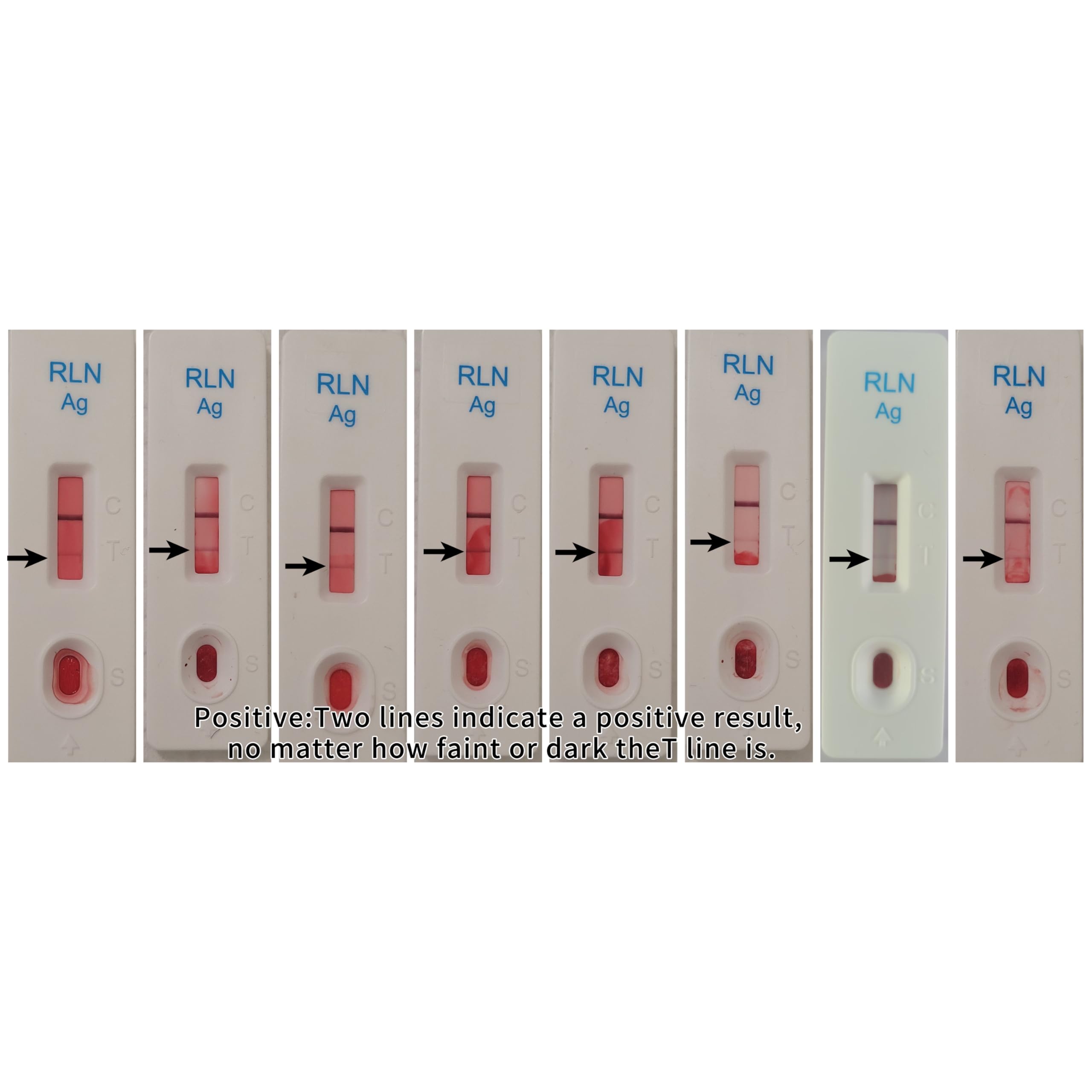 Breeder using the at-home dog pregnancy test kit