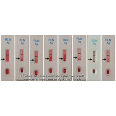 Breeder using the at-home dog pregnancy test kit