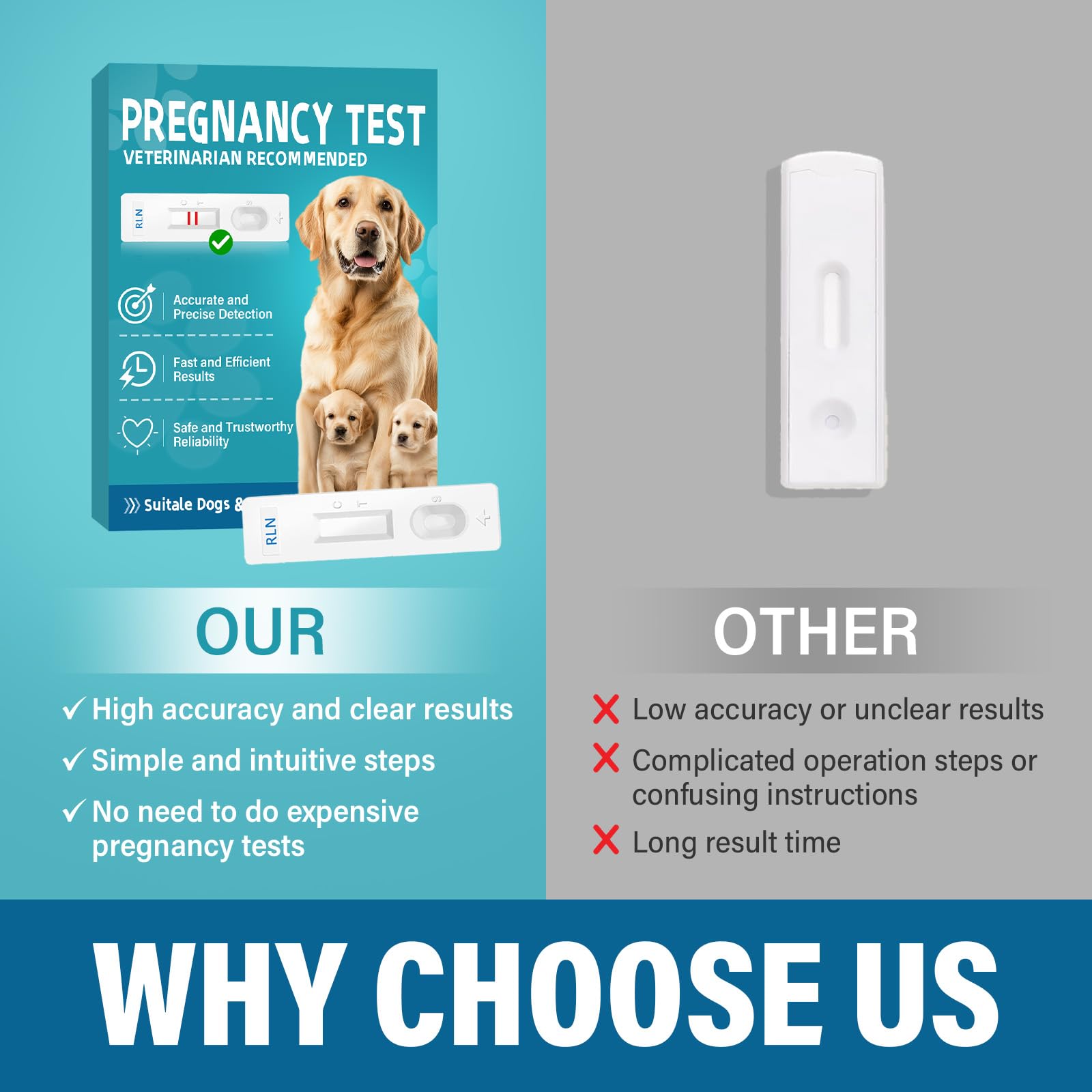 Pet owner testing a dog at home in a calm setting