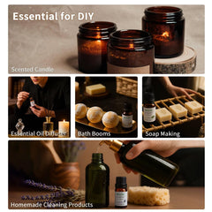 Inside view showing the essential oil bottles in the box