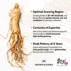 Six-year grown Korean ginseng roots