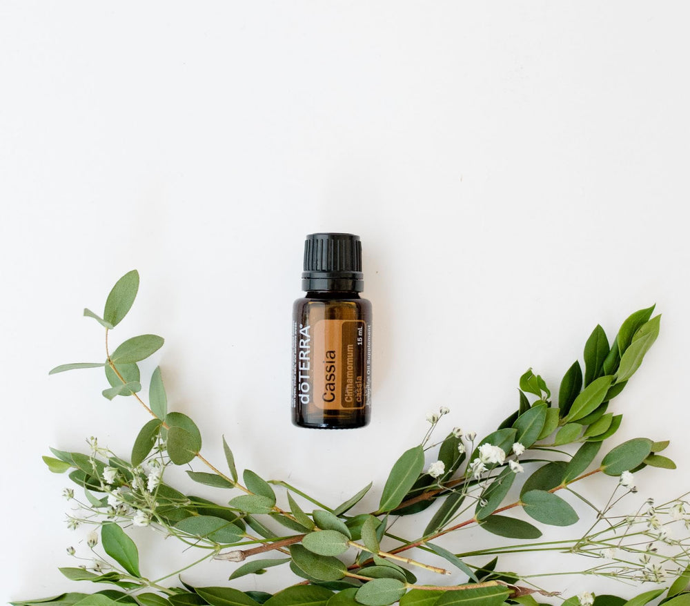 DoTERRA Cassia-diffuser-aroma evokes spicy scent for seasonal wellness blends.