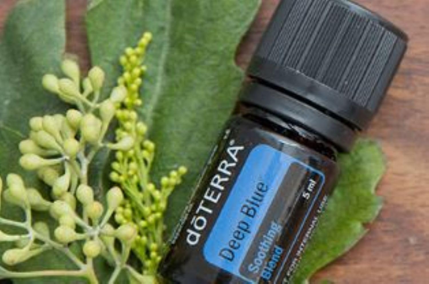 doTERRA Deep Blue soothing blend 5 ml bottle pair - image 2