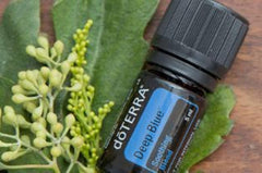 doTERRA Deep Blue soothing blend 5 ml bottle pair - image 2