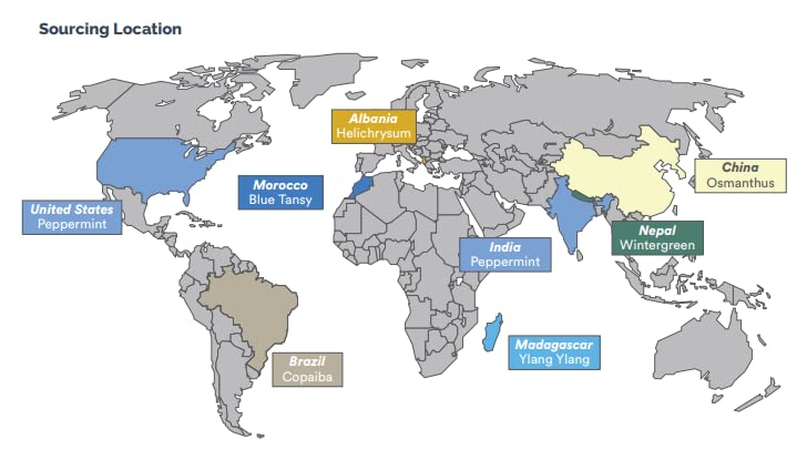 Texture close-up showing moisturizing emollients