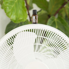 Purify air purification in a room