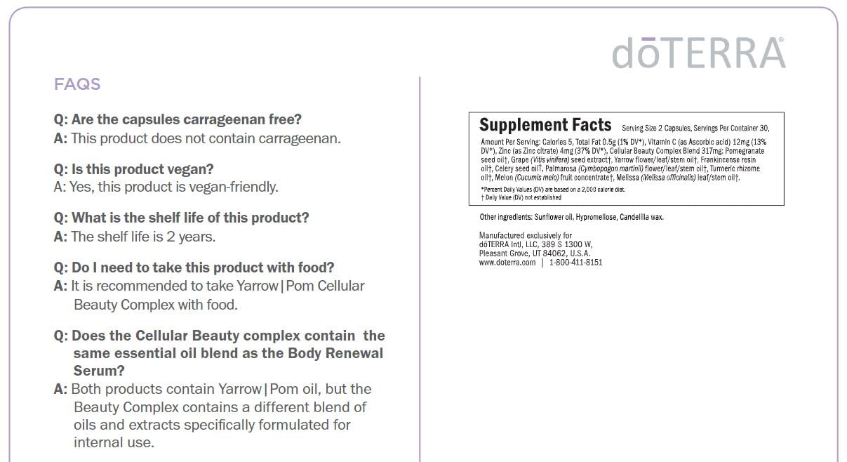 Capsule close-up shot highlighting CPTG essential oils