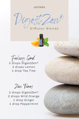 DigestZen health benefits for digestive system
