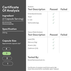 Double Wood NMN instruction card outlining daily use guidance.