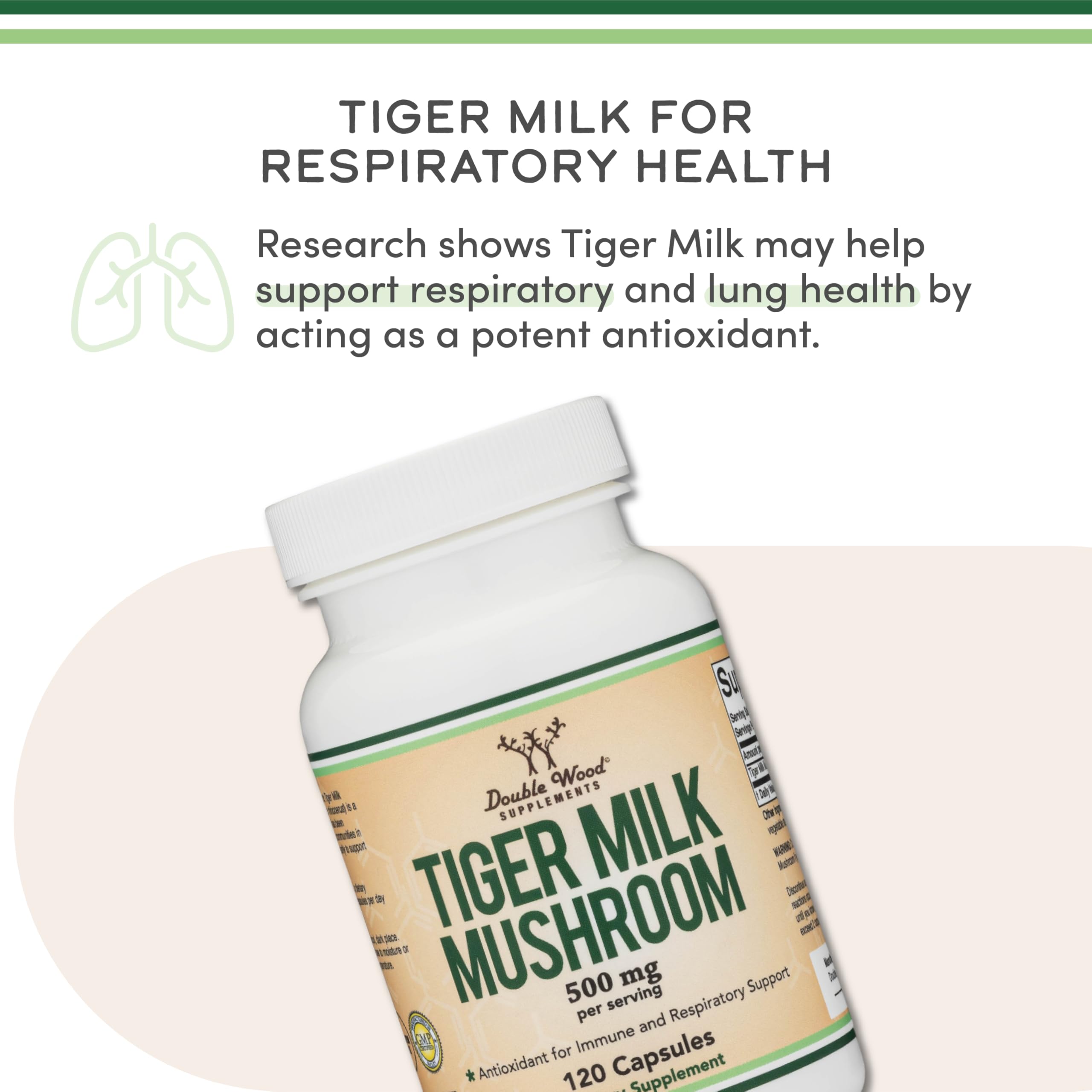 Close-up of 500mg tiger milk mushroom serving and capsules