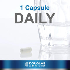 Illustration of the gastrointestinal tract for L-Glutamine support